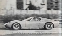 miura30.webp