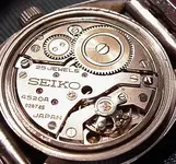 BwcMM_mvta.webp