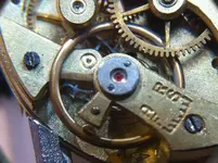 image.webp