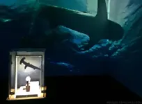 Oris-oceans-3.webp