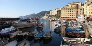 cam3.webp
