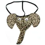 IMG_2892.webp IMG_2892.webp