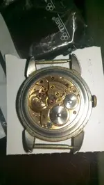 IMAG5939.webp IMAG5939.webp
