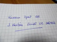 DSCF0008.webp