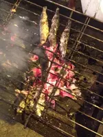 IMG_4910.webp IMG_4910.webp