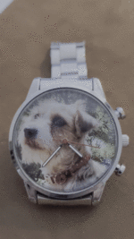 1000075582.gif