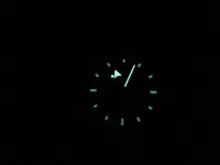 g11.webp