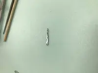 Foto 9-6-17 12 19 45.webp