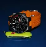 Oris Regulator silicon yo.webp