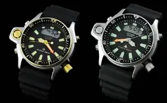Citizen-Promaster-Aqualand-JP2000-8E.webp