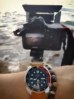padi.webp