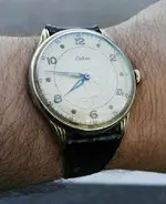 IMG_20170525_074919.webp