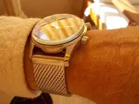 DSCN0746.webp
