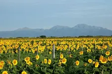 Cordoba. Sierras de Taninga.webp