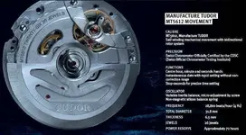 Tudor Pelagos Movement_zpsyrdgzpsn.webp