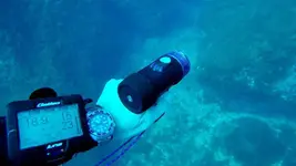 PADI en les Medes.webp