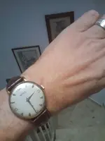 CAM00743.webp CAM00743.webp