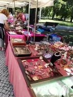 IMG_20170702_103523.webp