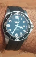 longinescaucho.webp