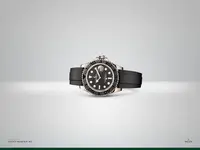 Rolex Yacht Master 40 Wallpaper.webp
