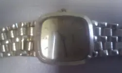 IMAG0266.webp IMAG0266.webp