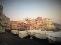 bocca1.webp