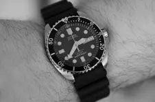 1D_F0151pr.webp