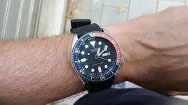 unnamed (11).webp
