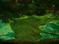 071 Mar del Plata - Museo del Mar 20-9.webp