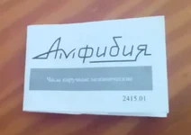 1000290979.webp