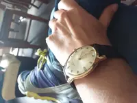 15026347879931386254510.webp
