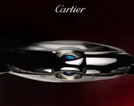 cartier-success.webp