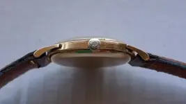 OMEGA ORO 266 1.webp