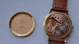 OMEGA ORO 266 4.webp