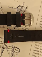 sinn2.webp