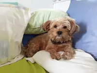 20170814_121246.webp
