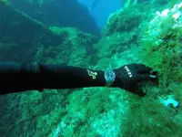 GOPR0603.webp