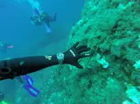 GOPR0921.webp