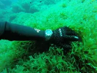 GOPR1086.webp