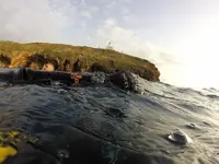GOPR1258.webp