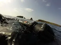 GOPR1296.webp