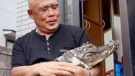 crocseiko.webp