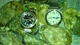 IMG_20170816_154333.webp