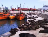 06 Ciudad de Mar del Plata. Costa Atlantica de la Provincia de Buenos Aires. Argentina.webp