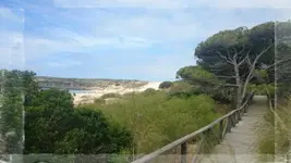 _20170722_123901.webp