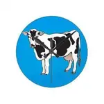 vectores_del_dibujo_animado_de_la_vaca_b_reloj_redondo_mediano-rc08a372ad4734f1a8c88413fbdcb0...webp