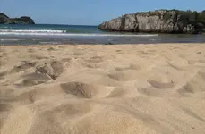 20170819_183118.webp