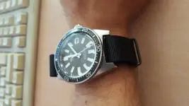 SLA017 con nato.webp