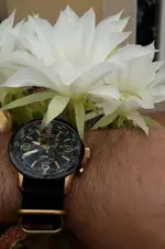 20170723_102052.webp