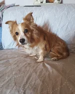 IMG_6587.webp IMG_6587.webp